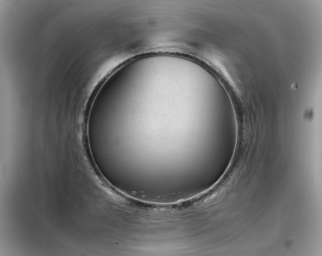 X0000099411277200805091210