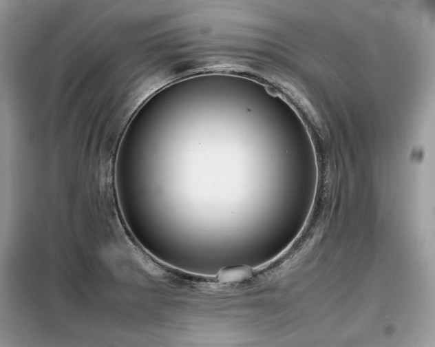 X0000099411281200805091210