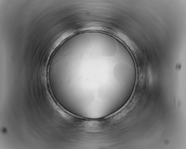 X0000099411282200805091210
