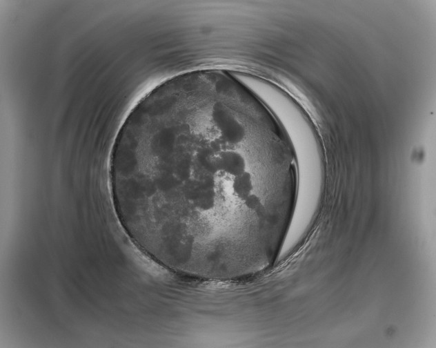 X0000099411283200805091210