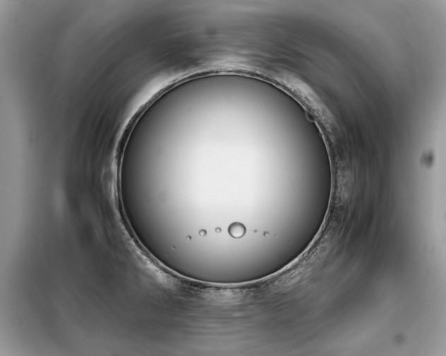 X0000099411286200805091210