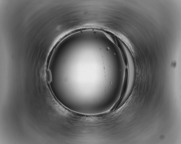 X0000099411288200805091210