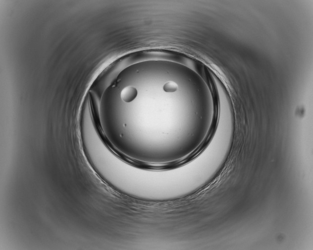 X0000099411291200805091210
