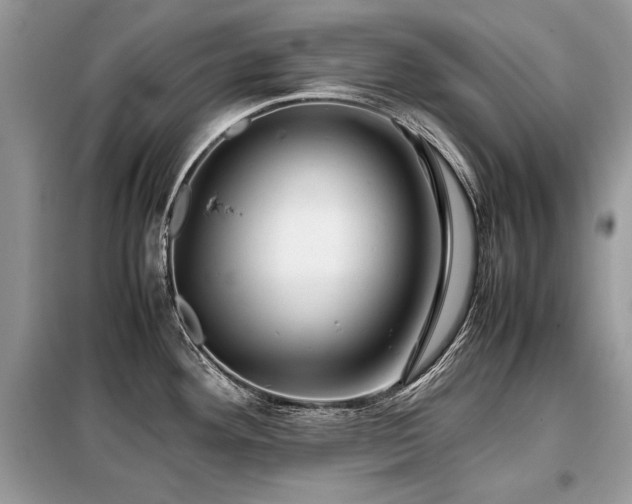 X0000099411292200805091210