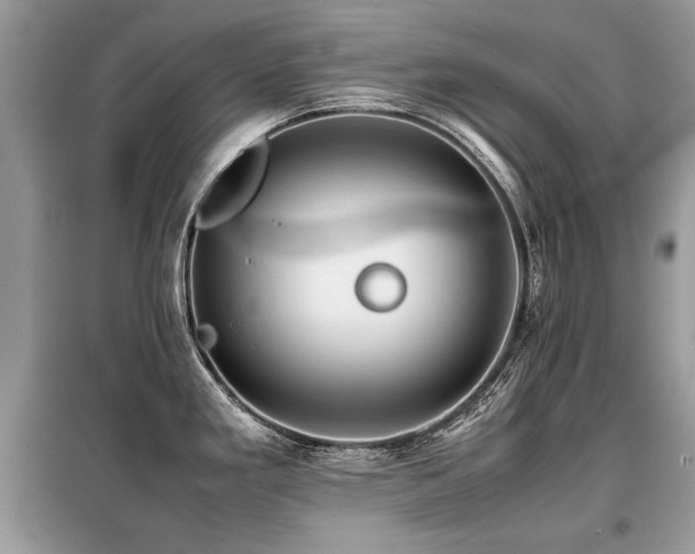 X0000099411293200805091210