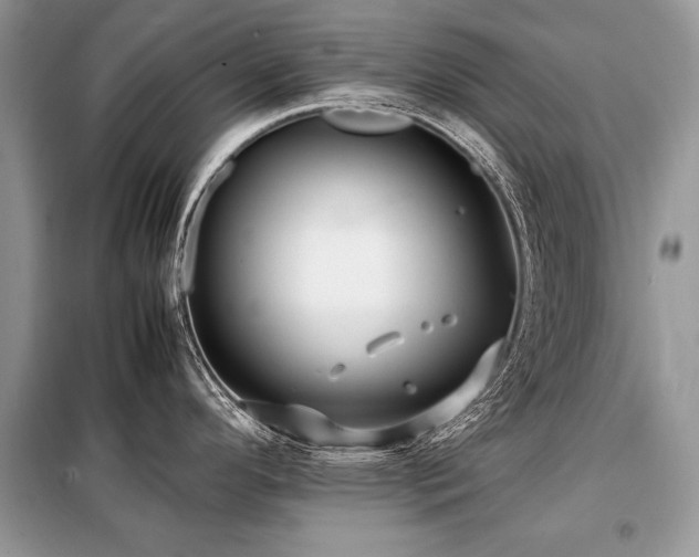 X0000099411296200805091210