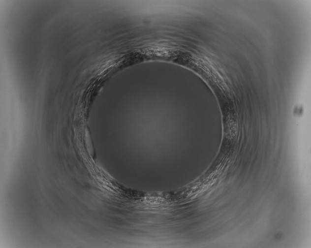 X0000099411297200805091209