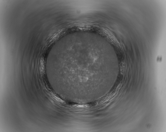 X0000099411298200805091209