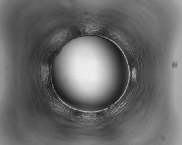 X0000099411299200805091209