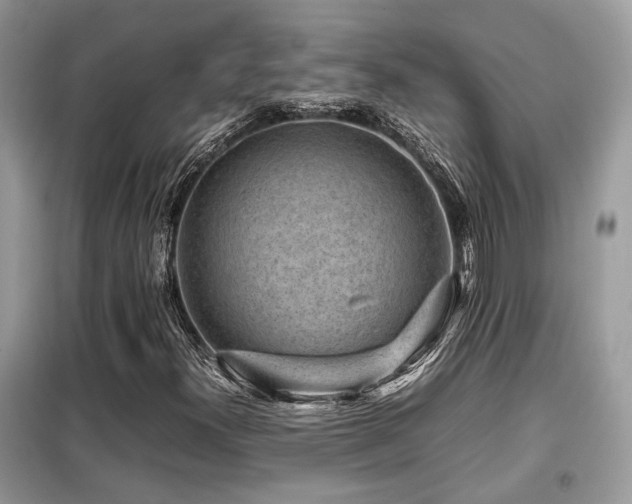 X0000099411300200805091209