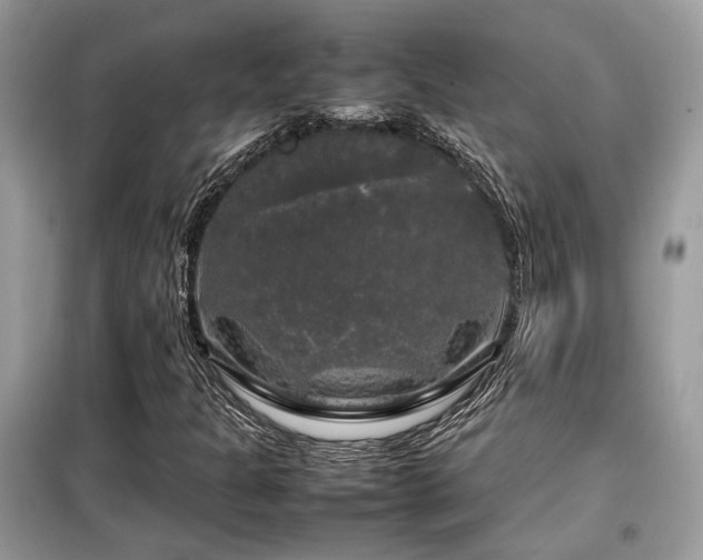 X0000099411301200805091209