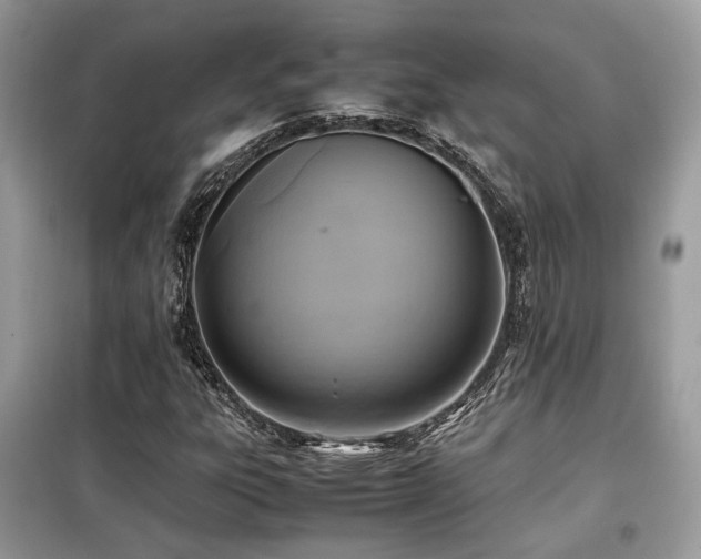 X0000099411303200805091209