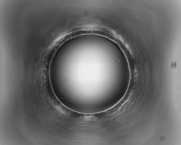 X0000099411304200805091209