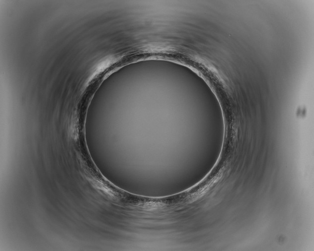 X0000099411306200805091209