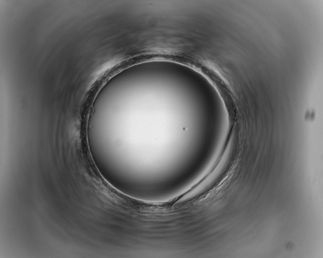 X0000099411307200805091209