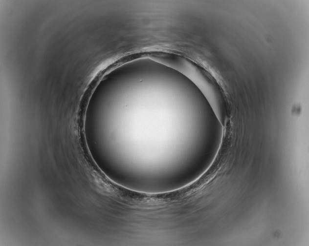 X0000099411308200805091209