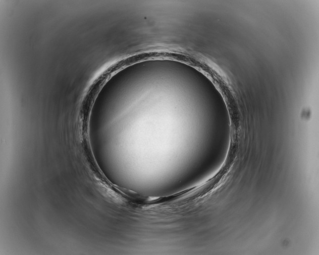 X0000099411310200805091209