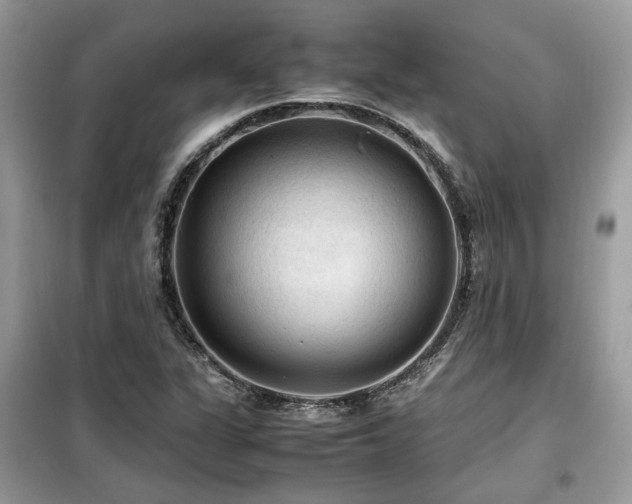 X0000099411311200805091209