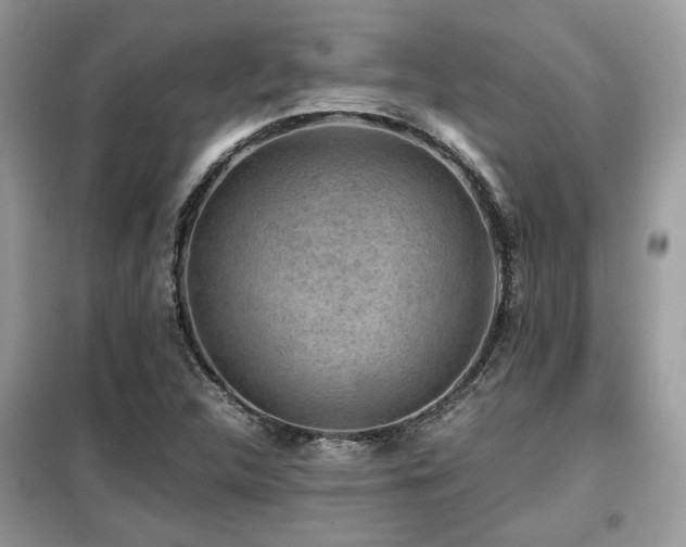 X0000099411312200805091209