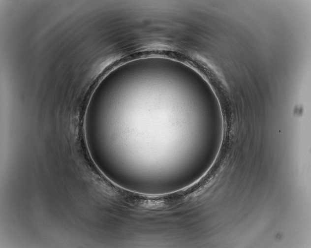 X0000099411313200805091209