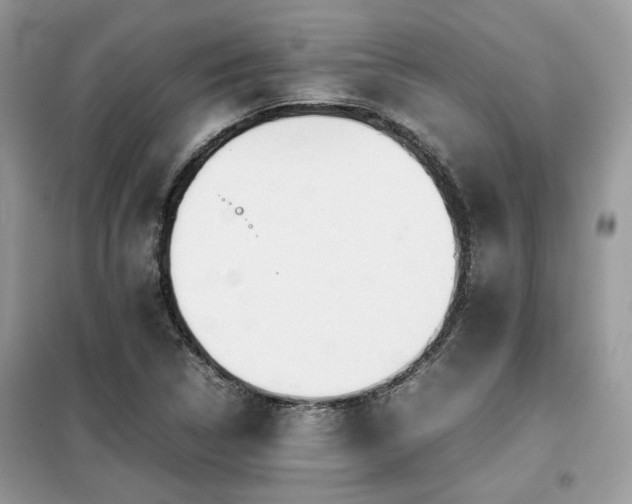 X0000099411314200805091209