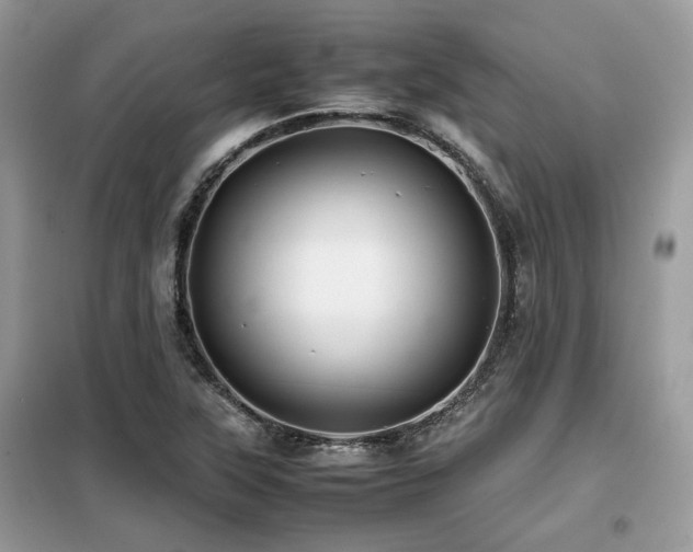 X0000099411315200805091209