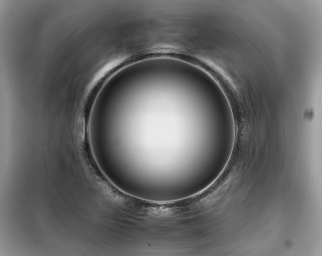 X0000099411317200805091209