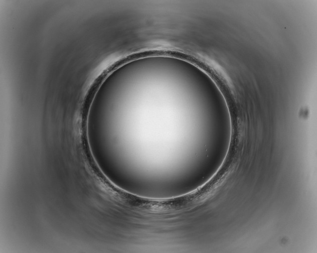 X0000099411318200805091209