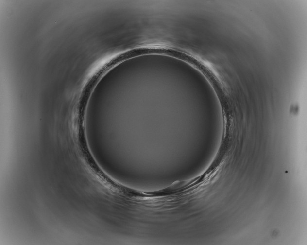 X0000099411319200805091209
