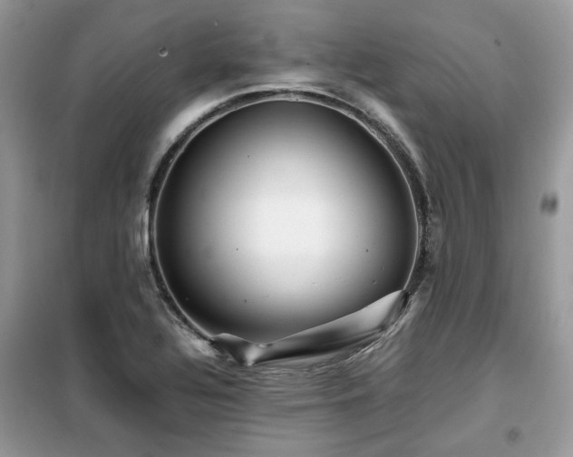 X0000099411320200805091209