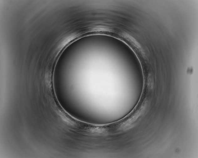 X0000099411321200805091210