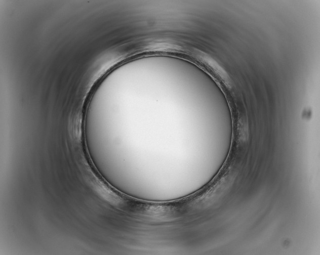 X0000099411322200805091210