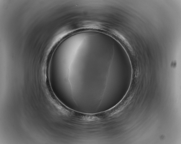 X0000099411323200805091210