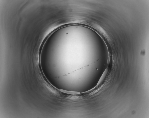 X0000099411324200805091210