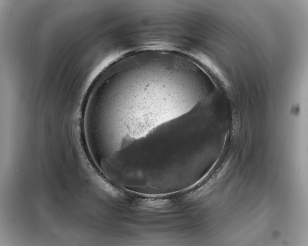 X0000099411325200805091210