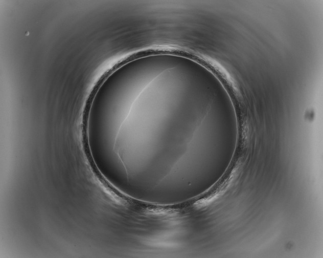 X0000099411327200805091210