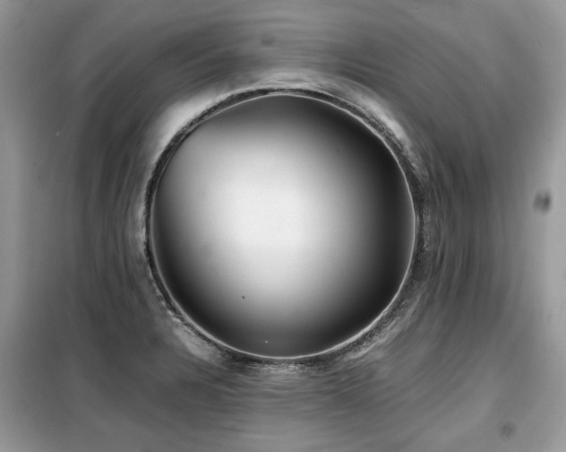 X0000099411328200805091210