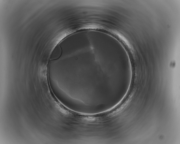 X0000099411329200805091210