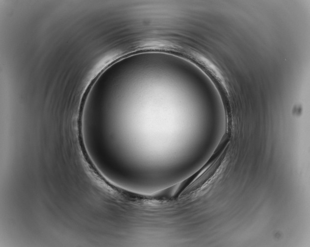 X0000099411330200805091210