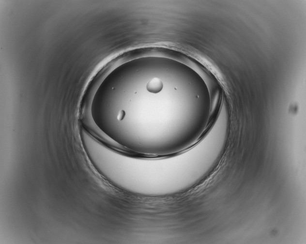 X0000099411332200805091210