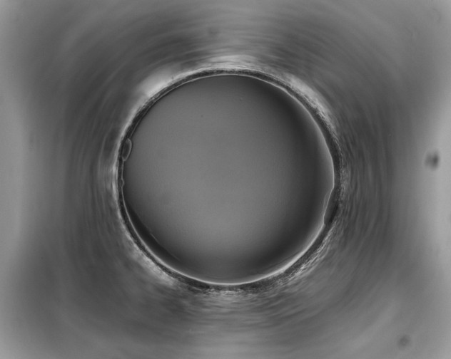 X0000099411334200805091210