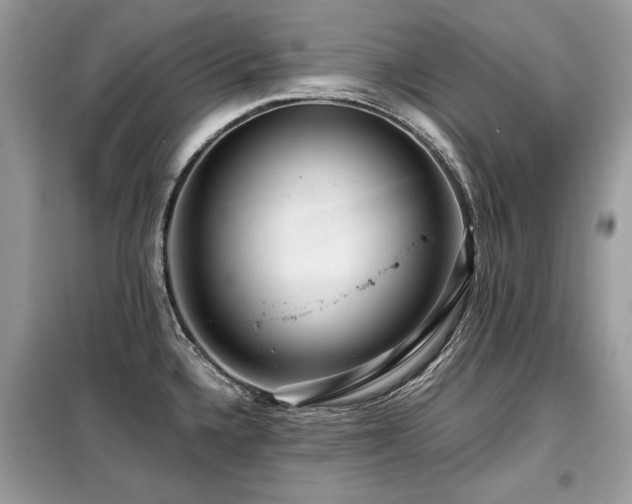 X0000099411336200805091210