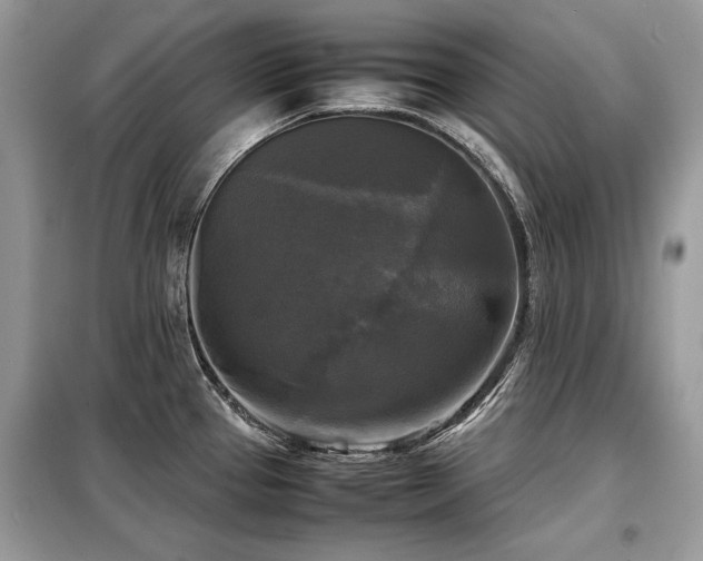 X0000099411337200805091210