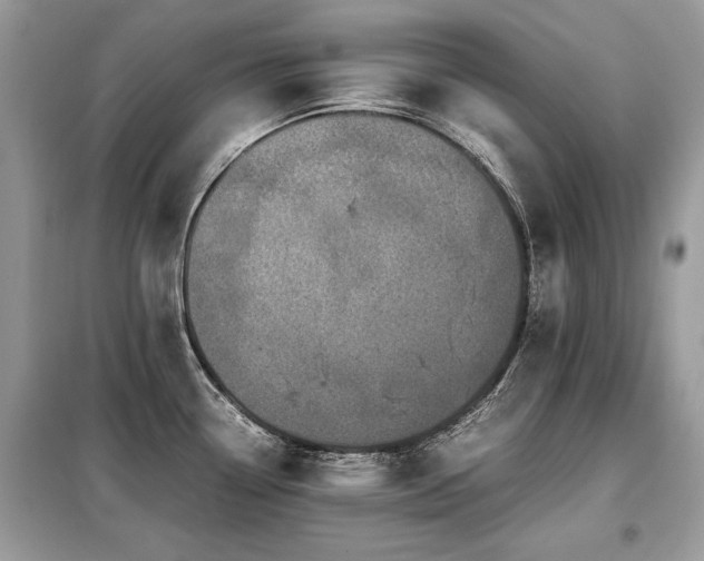 X0000099411338200805091210