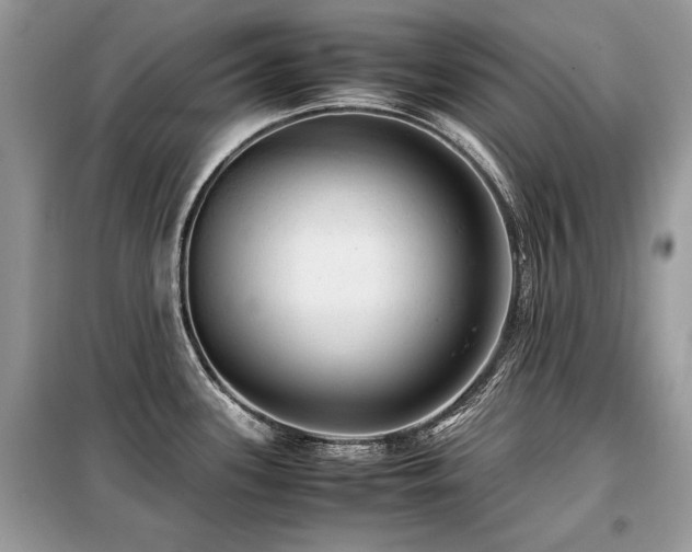 X0000099411339200805091210