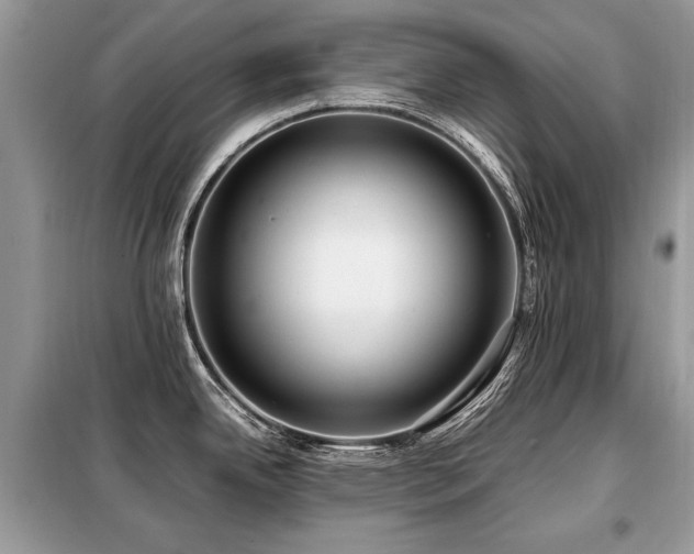 X0000099411342200805091210