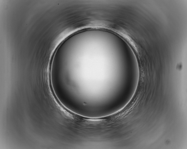 X0000099411343200805091210