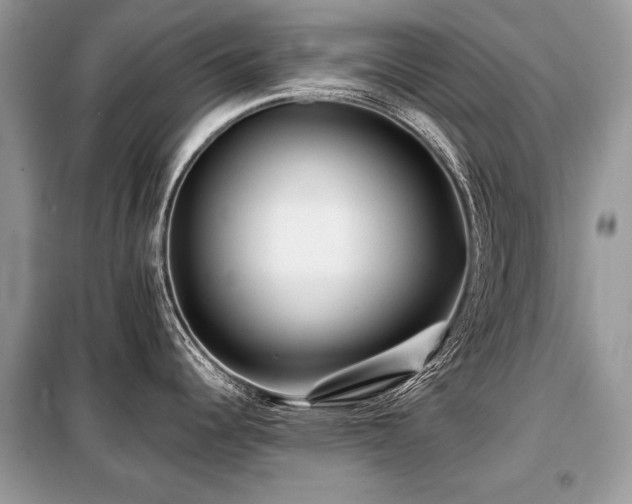 X0000099411344200805091210