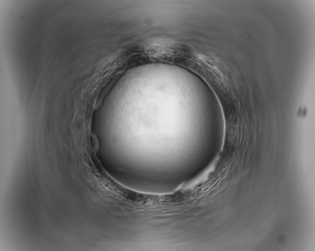 X0000099411345200805091209