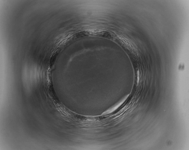 X0000099411346200805091209